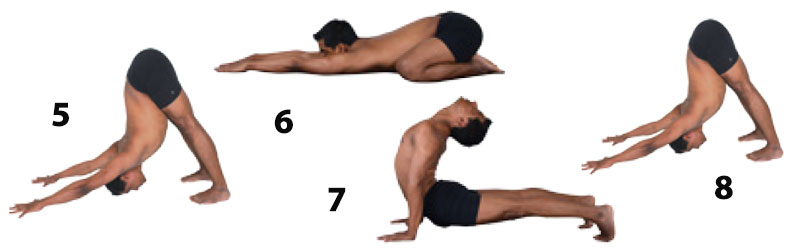 Surya namaskara